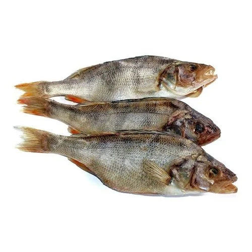 3242d191645bb5b56f94cff2ffdc5793 Główne zdjęcie produktu